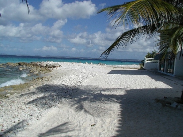 Lighthouse Beach