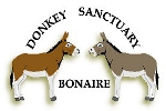 Donkey Sanctuary