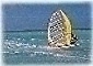 Bonaire Windsurfing